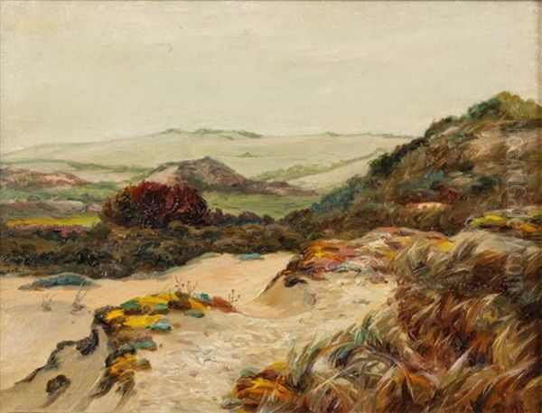 Les Dunes Dans La Baie D'authin (cote D'opale) - view 1