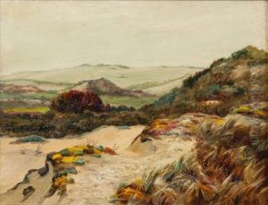 Les Dunes Dans La Baie D'authin (cote D'opale)