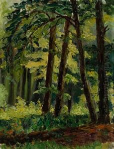 Sous-bois