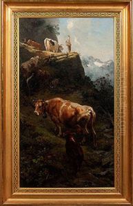 Hiker And Cows In A Mountainous Landscape Hiker And Cows In A Mountainous Landscape