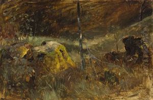 Waldinneres Mit Baumstumpf
