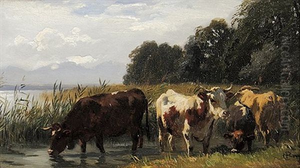 Kuhe Auf Der Weide - view 1