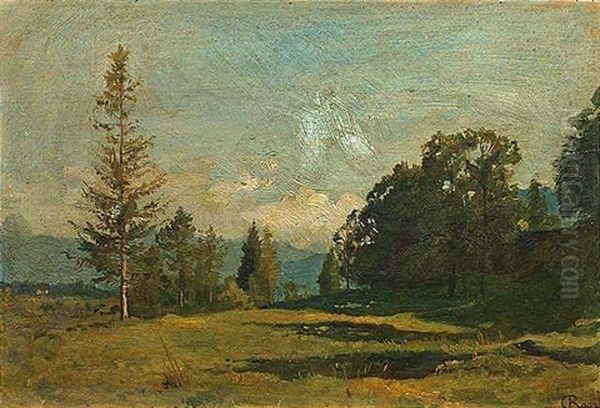 Sommerlandschaft - view 1