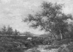 Jeune Garcon Dans Un Paysage Jeune Garcon Dans Un Paysage