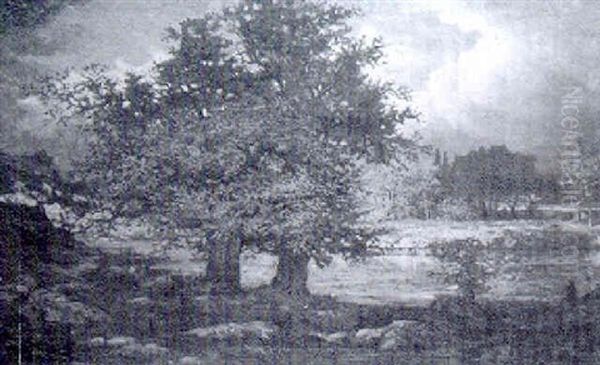 Paysage De Barbizon - view 1