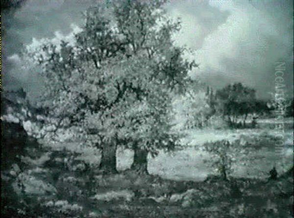 Paysage Aux Grands Arbres - view 1