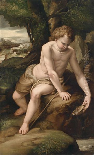 Der Heilige Johannes Der Taufer In Der Landschaft - view 1