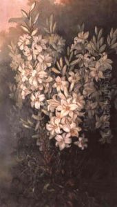 Lilium Candidum by Marian Ellis Rowan