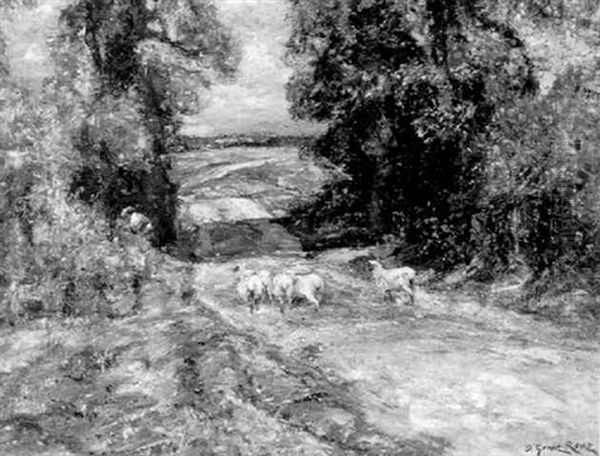 Sheep On A Lane - view 1