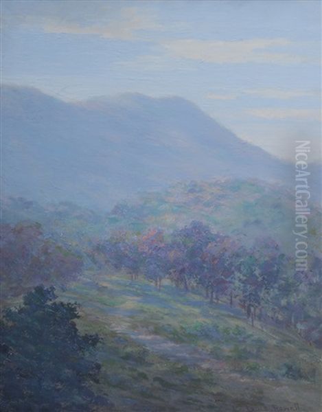 Tryon, North Carolina Landscape - view 1