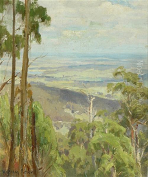 Landscape From The Dandenong Ranges Near Melbourne - view 1