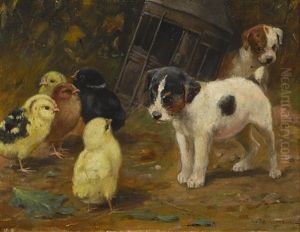 Puppies And Chicks And Sleeping Puppies And Chicks (a Pair Puppies And Chicks And Sleeping Puppies And Chicks (a Pair