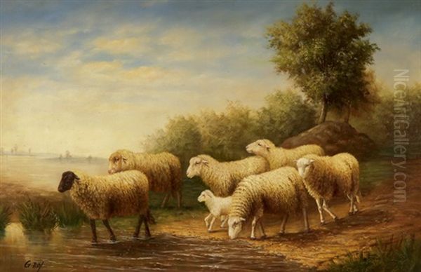 Schafe Vor Weiter Landschaft - view 1