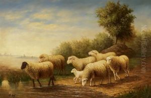 Schafe Vor Weiter Landschaft by Giovanni Roy