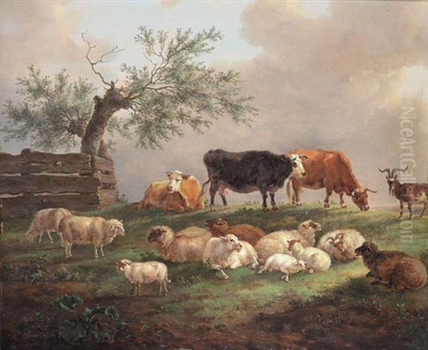 Koeien, Bok En Schapen In De Wei - view 1