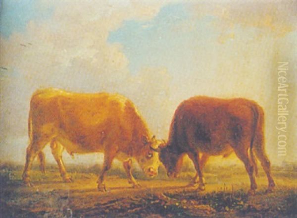 Fighting Bulls - view 1