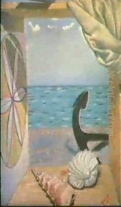 Nature Morte Avec Coquille