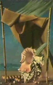 Coquillage Et Drape Coquillage Et Drape