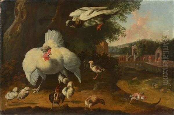 Poule Protegeant Ses Poussins - view 1