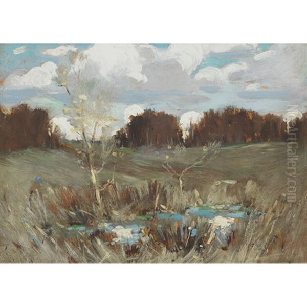 Summer Marsh - view 1