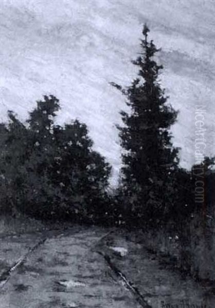 Forest Road At Sunset - view 1
