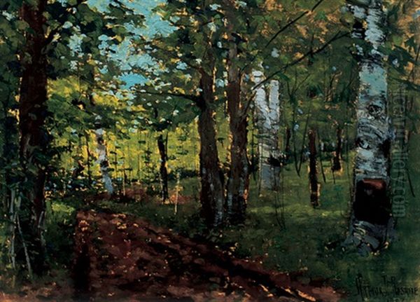 Birch Forest - view 1