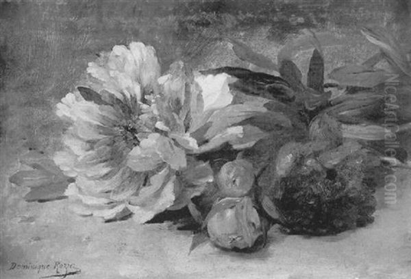 Pivoines - view 1