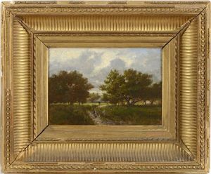 Sur Le Chemin Du Marais