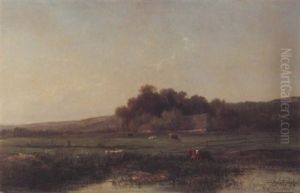 Cows In Pasture