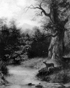 Deer In A Landscape by Emil Rozsay