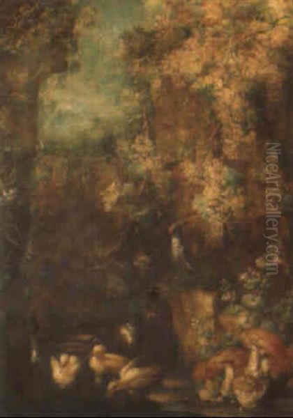 Woodland Clearing With Ducklings And A Woodpecker Beside A Pool - view 1