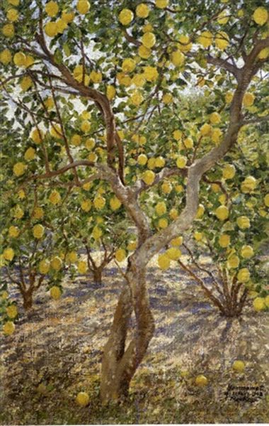 Jardin De Citronniers - view 1