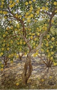 Jardin De Citronniers by Aleksandr Rubcov