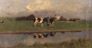 Auf Der Weide Auf Der Weide