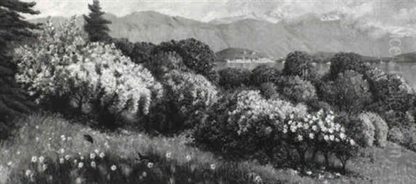 Landschaft Am Gardasee - view 1