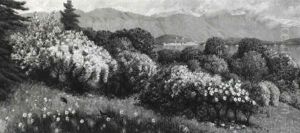 Landschaft Am Gardasee