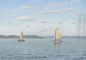 Sommerliche Partie Am Plattensee Mit Kloster Tihany