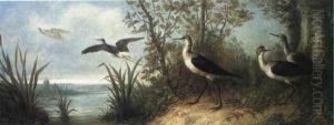 Curlews By A Lake Curlews By A Lake