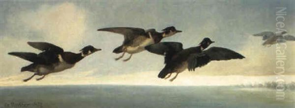 Carolinas In Flight - view 1