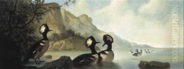 American Mergansers - view 1