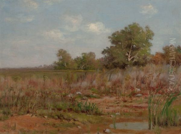 Edge Of A Marsh - view 1