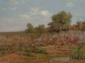Edge Of A Marsh