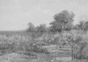 Marsh Scene