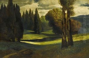 Waldlandschaft