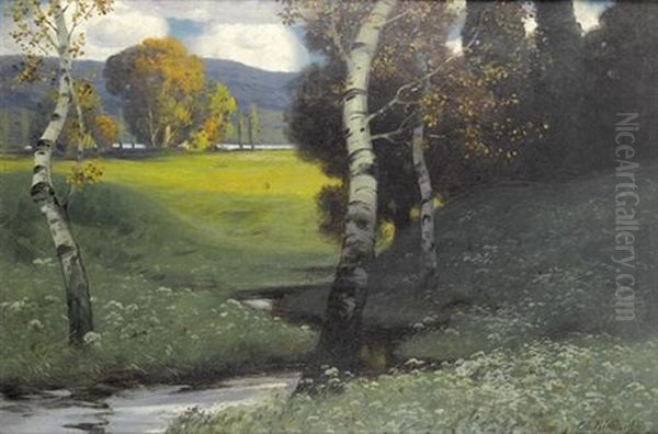 Herbstlandschaft Mit Birken An Einem Bach - view 1