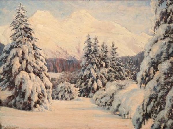 Bei St. Moritz, Piz Languard Und Piz Muraigl - view 1