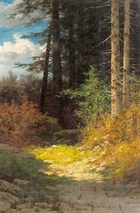 Sonniger Waldweg