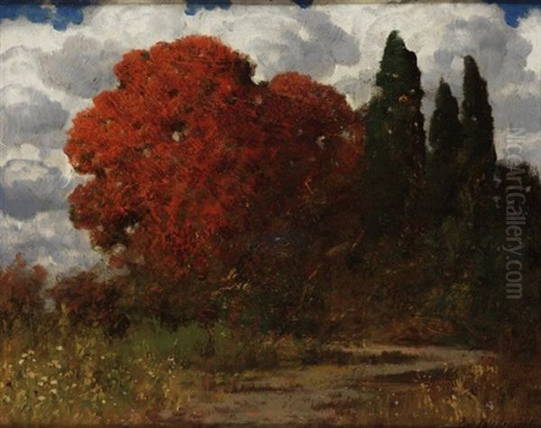 Herbstlandschaft Mit Baumen - view 1