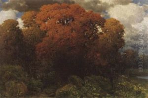 Wald In Herbstfarbung