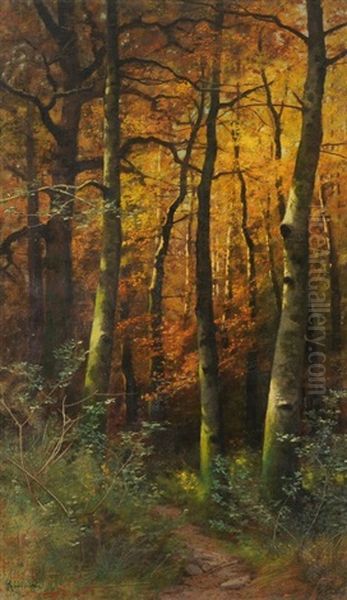 Herbst Im Birkenwald - view 1